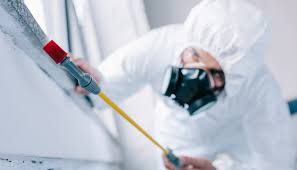 Best Residential Pest Control  in Pamplico, SC